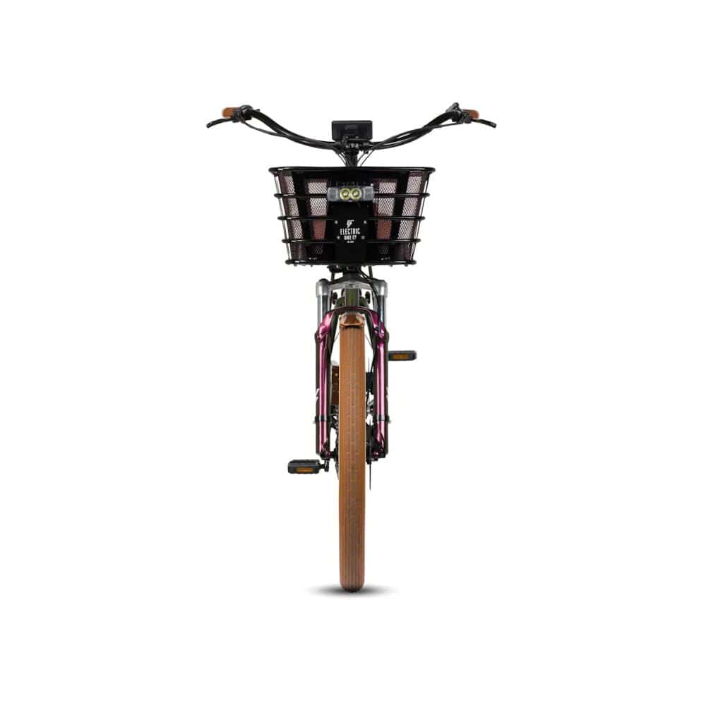 Electric Bike Company Project Beautiful Twisted Guava Ebike Model Y Front View