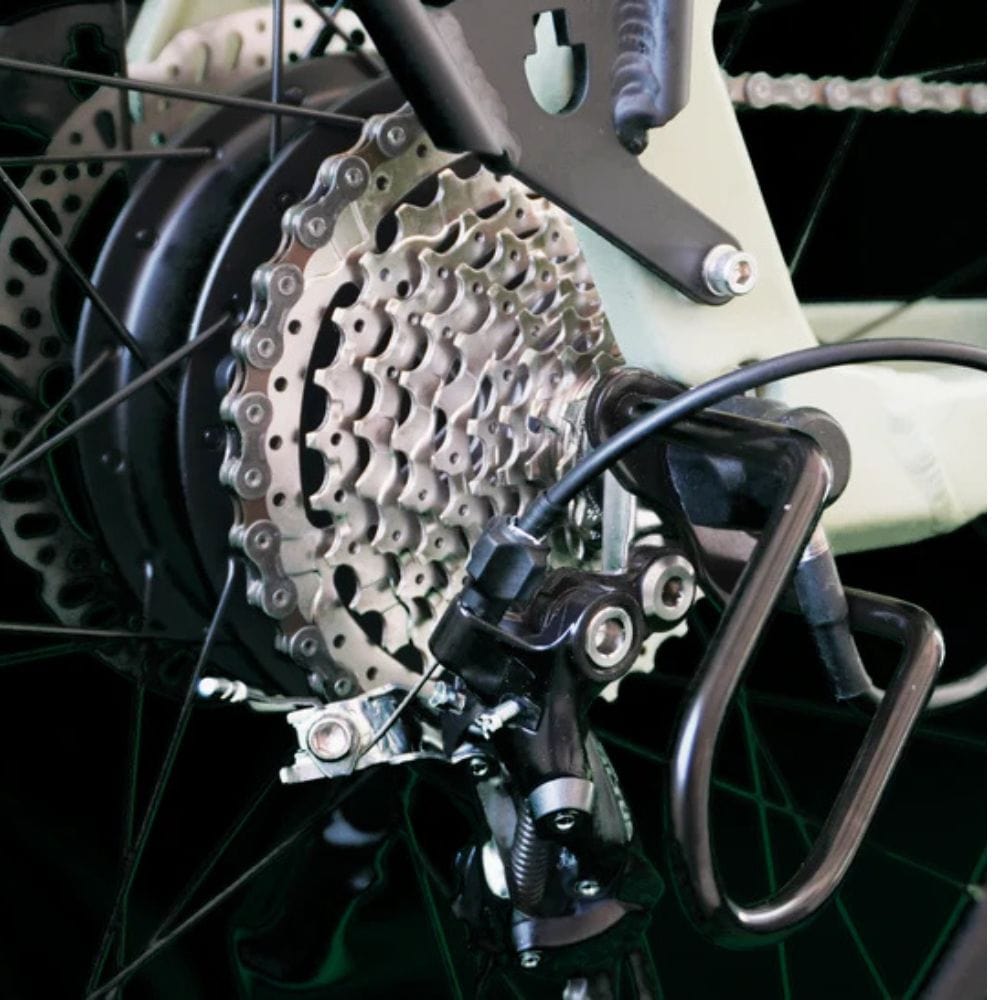 Envo D50 Electric Bike