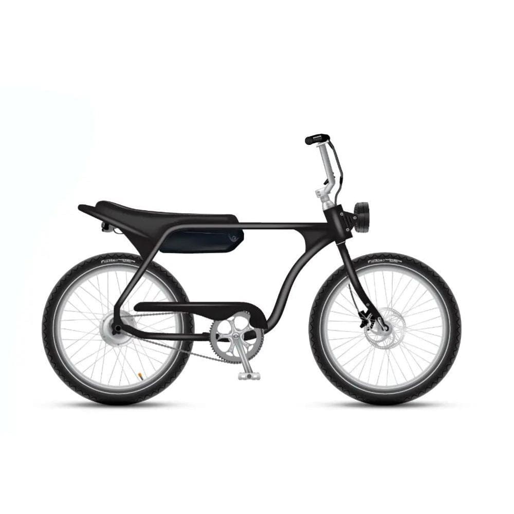 Electric Bike Model J Off-road Black Ebike