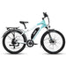 Envo D35 Electric Bike