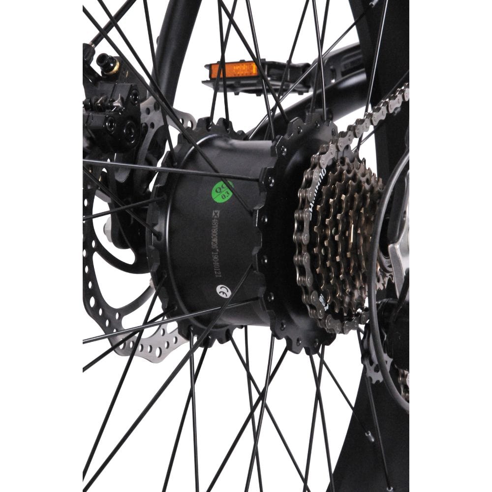 Micargi Steed 800W Mountain Electric Bicycle