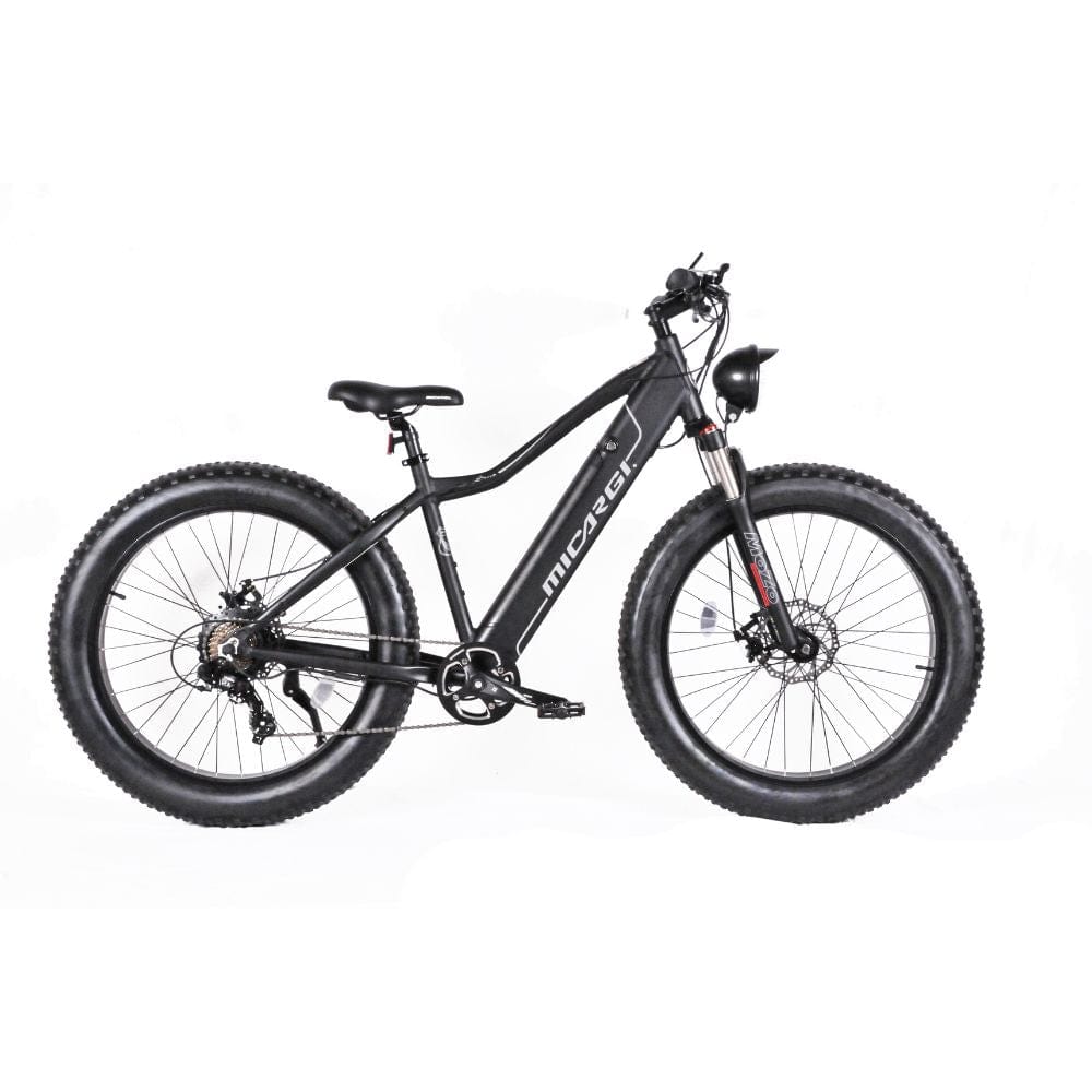 Micargi Steed 800W Mountain Electric Bicycle