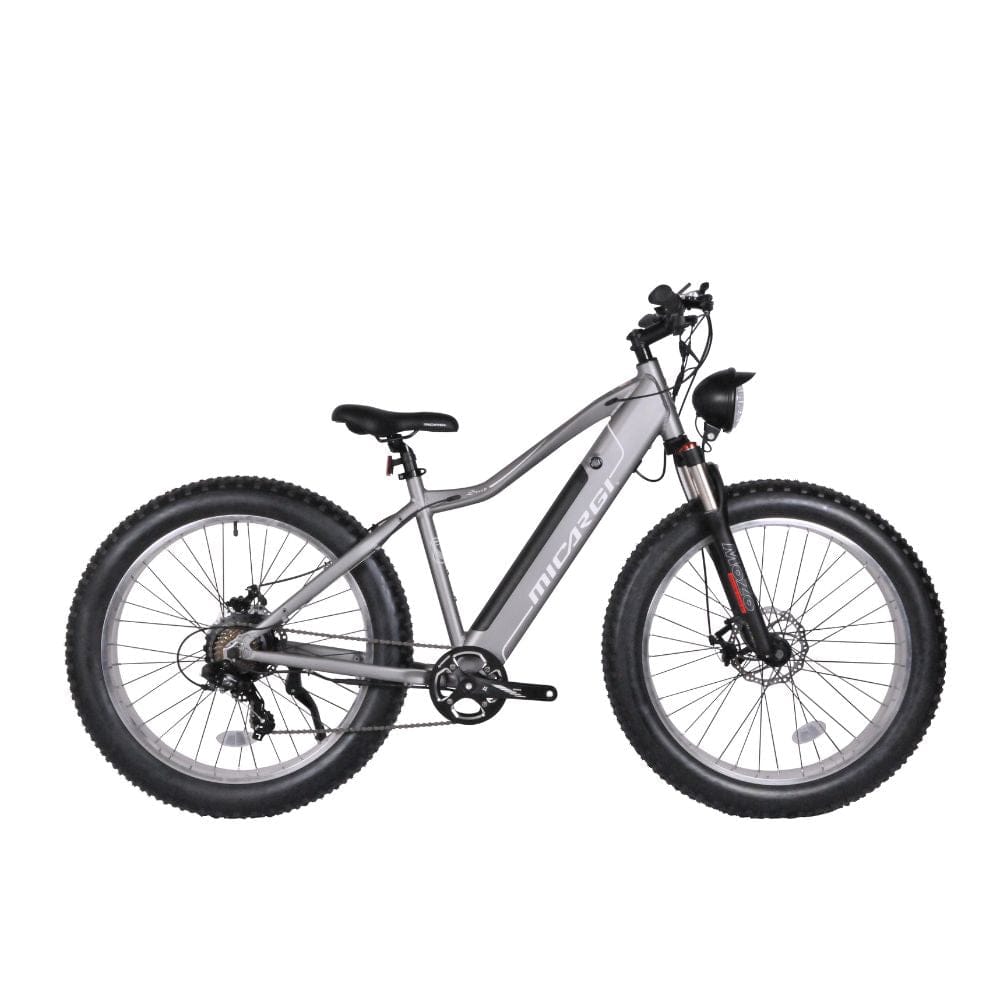 Micargi Steed 800W Mountain Electric Bicycle