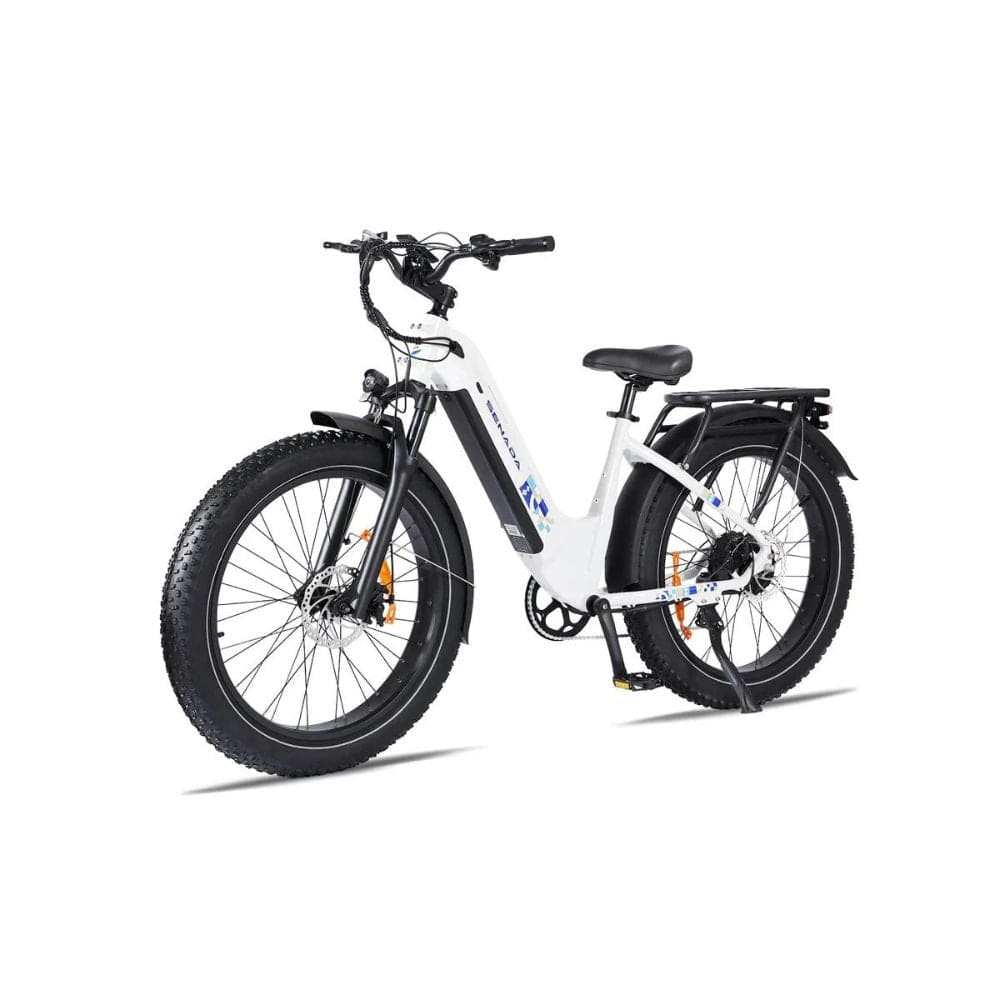 Mayor 750W 48V 20Ah Premium All-terrain Fat Tire Electric Bike Side View