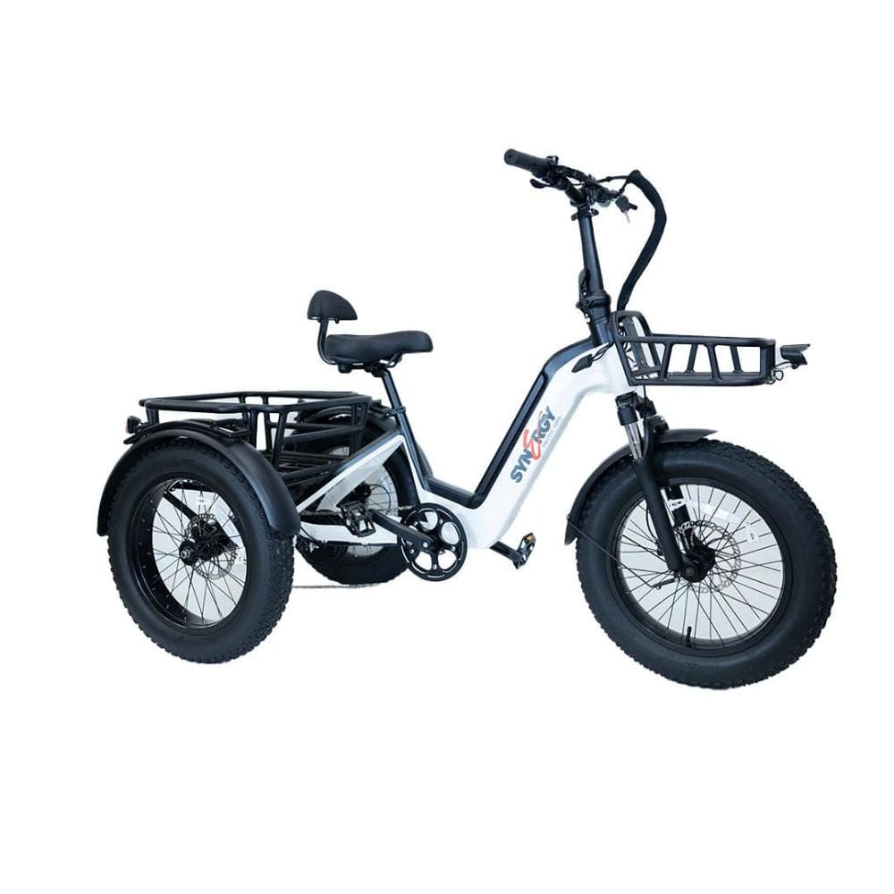 Triad 750W &nbsp;Fat Tire Folding E-Trike Main Image